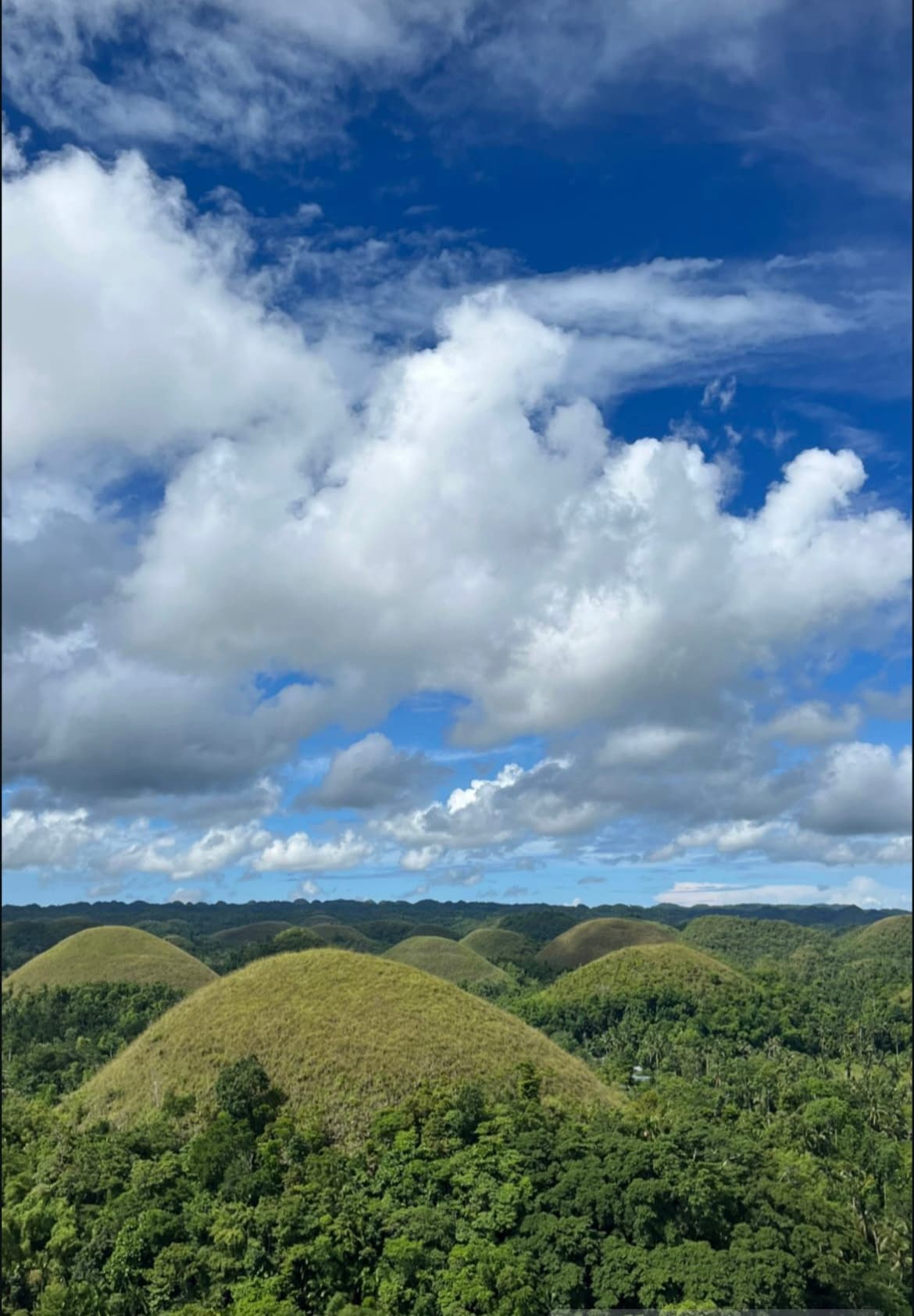 Bohol