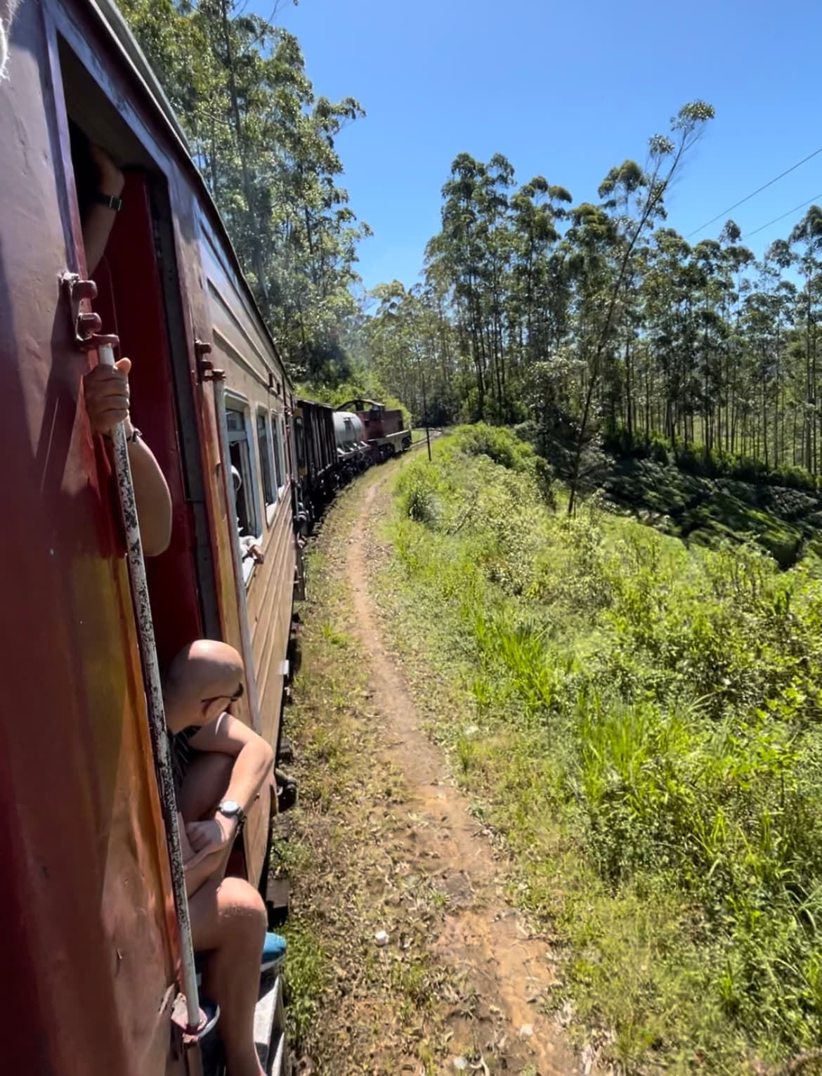 Scenic Train Journey: Nuwara Eliya's Tea Plantations